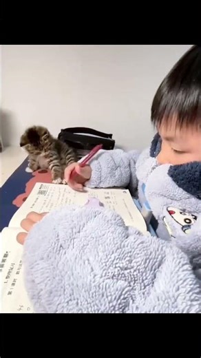 📚👦 This Cat Takes Homework VERY Seriously 😹
