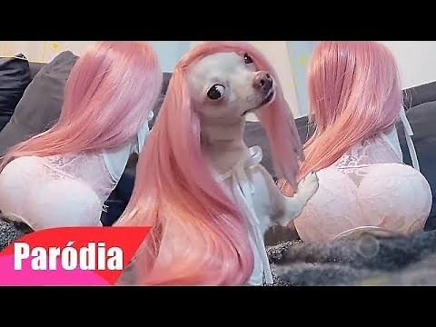 Best Funniest Animal Videos Of The week - Funny Dogs And Cats Videos 2024 😂