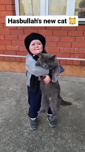 #shorts #shortsfeed #ytshorts #hasbulla #hasbullah #hasbullamagomedov #hasbullahuschetsiky | Hasbulla Army