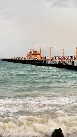 Cuando Llegas de La Isla de Cozumel 🌴🩵🚢🤩 | Playa del Carmen y Más