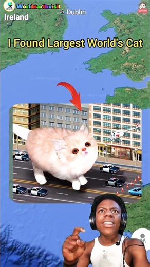 😶‍🌫️ I Found Largest World's Cat 😺 On google maps and google earth 🌎 #shorts #worldearthvisit