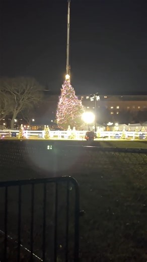 54K views · 2.1K reactions | The government can't even put up a Christmas tree right. That's where we're at. | Young Americans for Liberty | Facebook