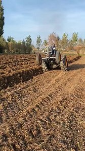485K views · 9.1K reactions | Italian farmers ploughing with their 80 years old Landini tractors #landini #landinitraktör #tractor #italian italian | Tractor Page | Facebook