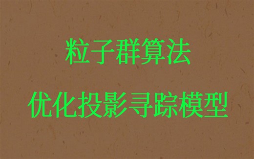 2-16粒子群算法优化投影寻踪模型（matlab）视频课程