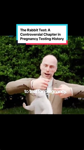 The Rabbit Test: A Controversial Chapter in Pregnancy Testing History #PregnancyTesting #MedicalHistory #RabbitTest #hCGHormone #MedicalEthics
