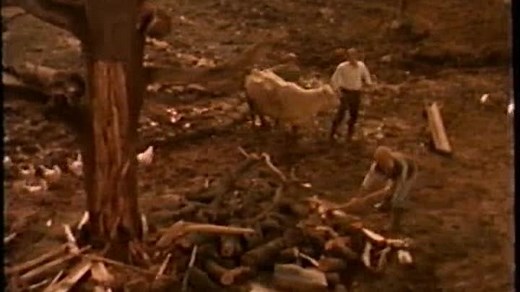 Rock-A-Doodle Full VHSrip Movie Welcome to my television Welcome to the magic of Disney and family entertainment