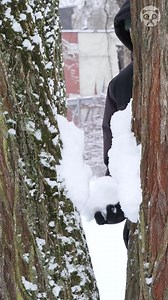 Art That Disappears | Crafty Panda