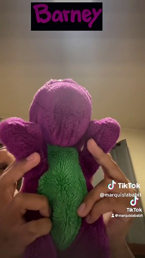 Barney The Rainbow Song The Treasure of Rainbow Beard plush