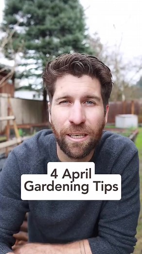 2.4K views · 27 reactions | Put these 4 April Gardening Tips to use to get a jump start on the season! #springgardening #aprilgarden #springgarden #gardenlife #garden #gardening #flowers #gardeninspiration #nature #gardendesign #gardenlove #plants #gardens #mygarden #gardener #gardensofinstagram #growyourownfood #growyourown #flower #instagarden | Plants At Home | Facebook