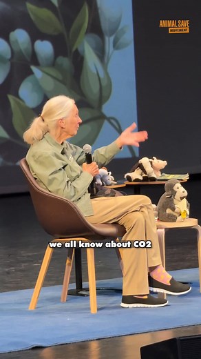 59K views · 3.8K reactions | One month on since Jane Goodall’s passing and her plea still echoes: our choices matter. She urged us to shift to a plant-based diet for the sake of the planet and the animals we share it with. Let’s honour her legacy by choosing compassion and action today!  | Animal Save Movement | Facebook