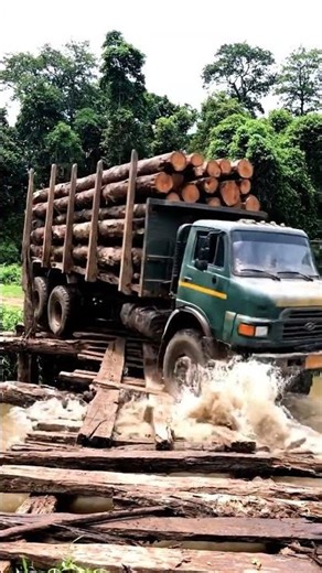 $100,000 Bridge & Log Load Destroyed in Seconds!