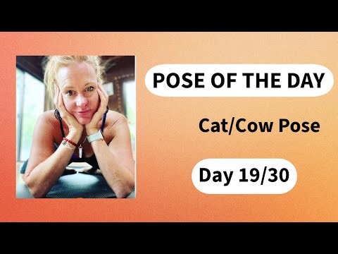 Pose of the Day: Cat & Cow Pose | Gentle, Mindful Yoga for Every Body