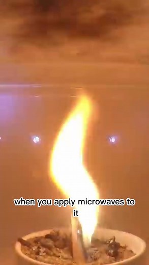 146K views · 2.4K reactions | Microwaving a Fire is  #reels #microwave #fire #science #popular #viralreels | The Action Lab | Facebook