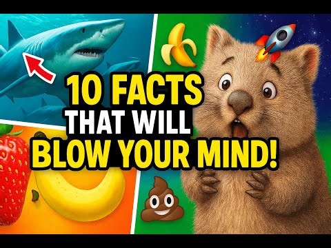 10 Mind-Blowing Facts You Won’t Believe Are True! 🌎🦈🚀