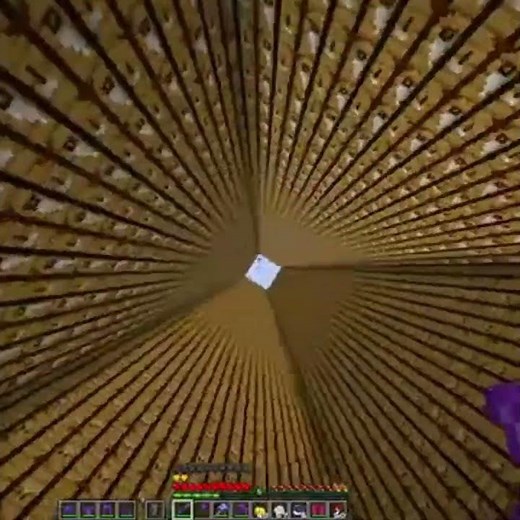 Twinner survive to the void