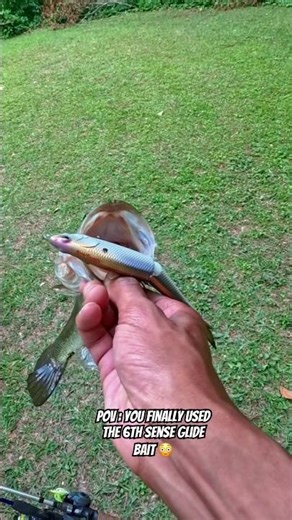 The BEST GLIDE BAIT ? #bassfishing #fishing #outdoors #baccyardboyz #viral
