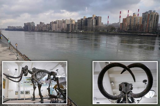 Video shows East River, as reports claim the waterway houses mammoth bones