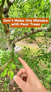 55K views · 350 reactions | What mistakes have you made when training...