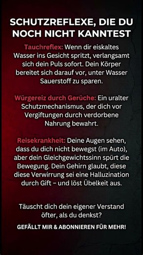 Psychologie des Gehirns: Wie dein Verstand dich täuscht und beschützt!