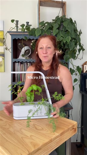 AeroGarden Sprout indoor garden with LED grow light for growing fresh herbs at home year-round. Compact hydroponic system for clean food, indoor gardening, and everyday food security.