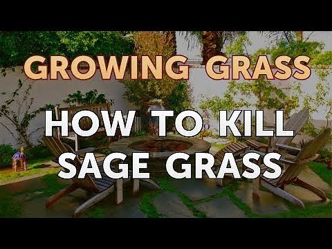 How to Kill Sage Grass