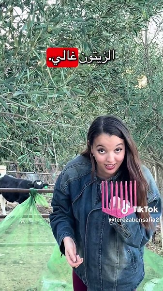 La culture kabyle à travers la musique et la danse