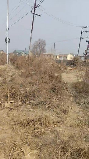 58 reactions · 4 comments | Phone number: 9596604210 Request you to please share, like and follow. | Johny Farooq Pampore | Facebook