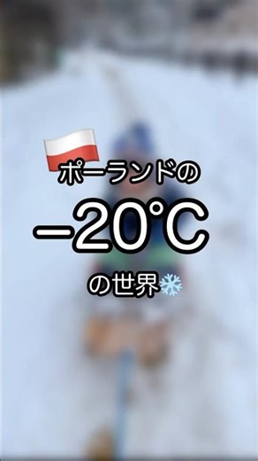 ポーランド、−20℃の世界❄️外で凍らせたバナナで釘打ちしてみたら…まさかの成功🍌🔨#poland #ポーランド生活#マイナス20度 #凍ったバナナ #極寒 #海外生活 #ヨーロッパの冬