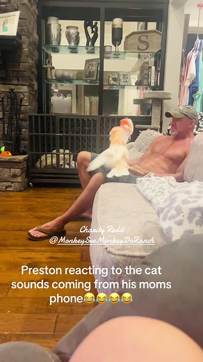 Preston Reacts to Talking Parrot and Cat Sounds