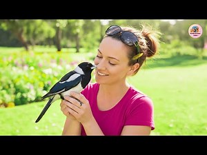 The Remarkable Story of Danielle and the Magpies Who Saved Her Life