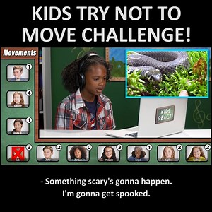 41K views · 139 reactions |  Turn up your sound and try to keep still for this entire video! Did any of these clips make you jump? | REACT | Facebook