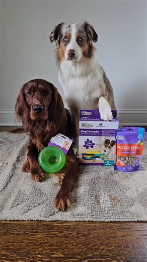 The ULTIMATE haul 🤩 (📸: all.paws.out) | Outward Hound