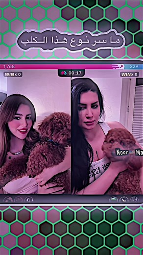 Noor Madrid and Their Impact on Iraq