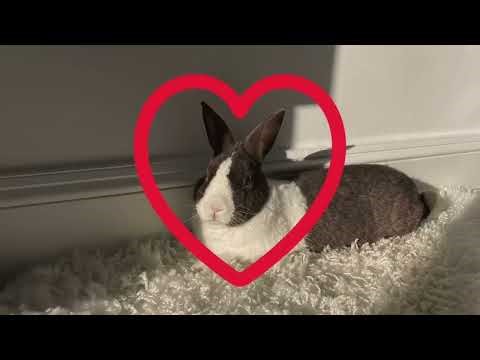 Apple 2025 — The Future Is Here