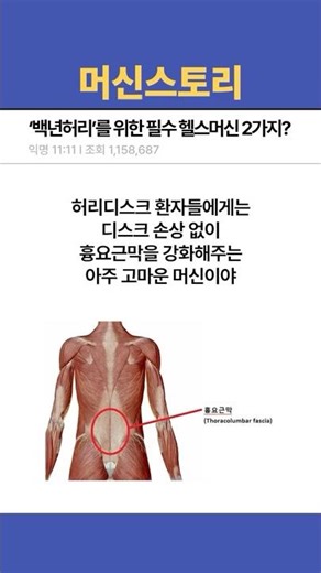 Two essential exercise machines for a toned back?