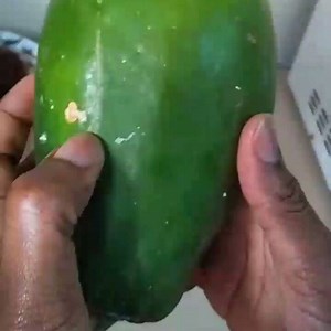 Lets talk matters Biryani! . . I love using raw pawpaw or papaya in my biryani. That sour aspect that it imparts is second to none. Plus, the other advantage is that it helps in tenderizing the meat. It comes out soft and melt in your mouth! Do you guys use it in your biryani? . . I normally blend it to a fine pulp. You could also grate it if you don't have a blender. . . #jikonimagicfood #jikonimagicyoutube #jikonimagickitchen #food52gram #biryani | Jikoni Magic