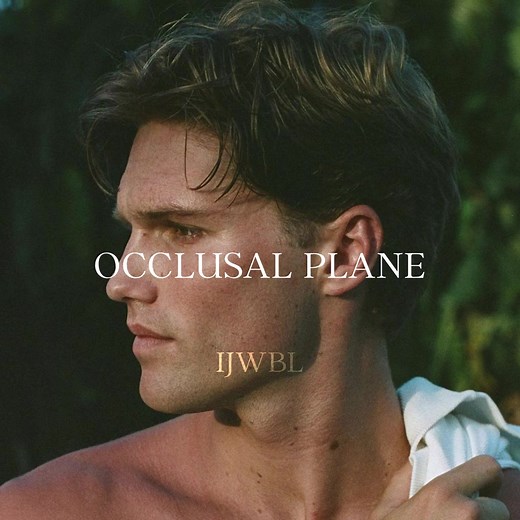 Understanding the Occlusal Plane