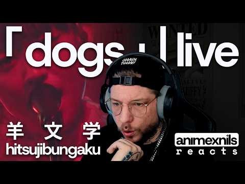 Hitsujibungaku – Dogs | Live from Music Awards Japan 2026 | First Time Reaction