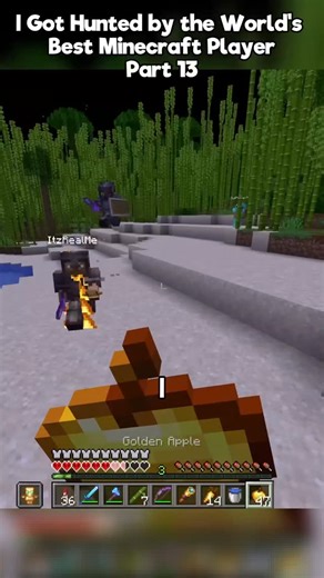ParrotX2 Clips on Instagram: "I Got Hunted by the World's Best Minecraft Player Part 13 #fyp #minecraft #parrot"