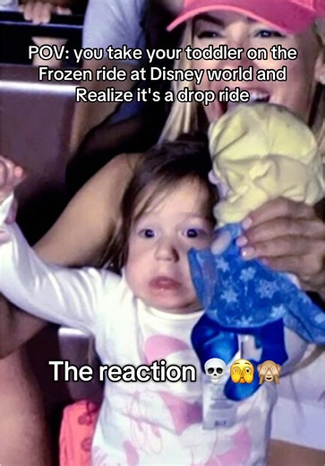 Toddler's Hilarious Reaction on Disney's Frozen Ride