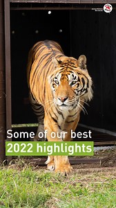 42 reactions | 2022 was a landmark year for rescues at FOUR PAWS!...