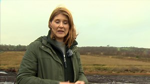 9.6K views · 111 reactions | Ancient human remains recovered by the PSNI from a Bellaghy bog date back more than 2,000 years Catherine Morrison reports | BBC Newsline | Facebook