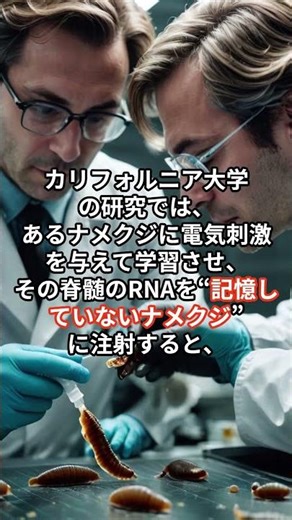 【記憶を“移植”できる時代へ――あなたの思い出、別の体へコピー可能？】