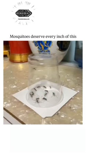 education.decodee on Instagram: "- The post shares a satisfying video of using lit incense smoke from a traditional Chinese vase to eliminate mosquito larvae in a glass of water, captioned with a humorous expression of disdain for the pests. - Authored by @jod_insane, a software developer and cricket fan, it exploded in popularity with 81,000 likes and 8.6 million views within a day, tapping into universal frustration with mosquitoes. - This DIY method aligns with smoke-based mosquito control te