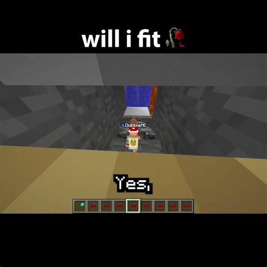 minecraft will i fit