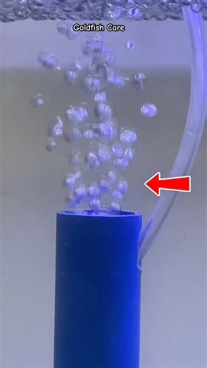 Aquarium filter #diy #aquariumfilter #shorts