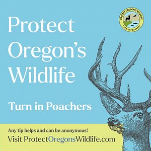 7K views · 36 reactions | Future generations deserve to experience Oregon’s fish and wildlife. Do your part by turning in poachers. | Oregon Department of Fish and Wildlife | Facebook