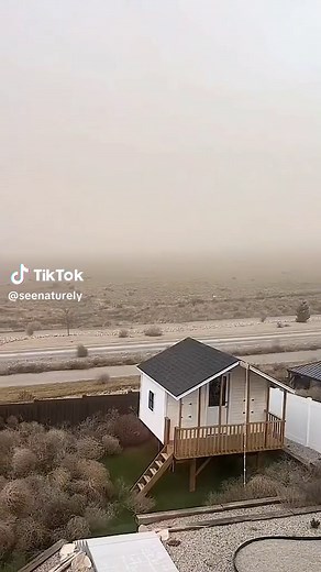 Tumbleweed Takeover: Exploring the Desert Phenomenon