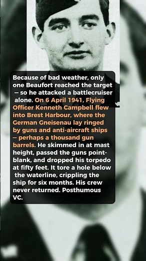 One Plane, One Torpedo, A Thousand Guns #short #history #ww2