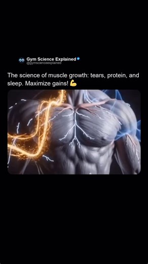 Gym Science Explained | Here’s the real science behind muscle growth. You hit the weights, creating microscopic tears in your muscle fibers. This isn’t damage to... | Instagram